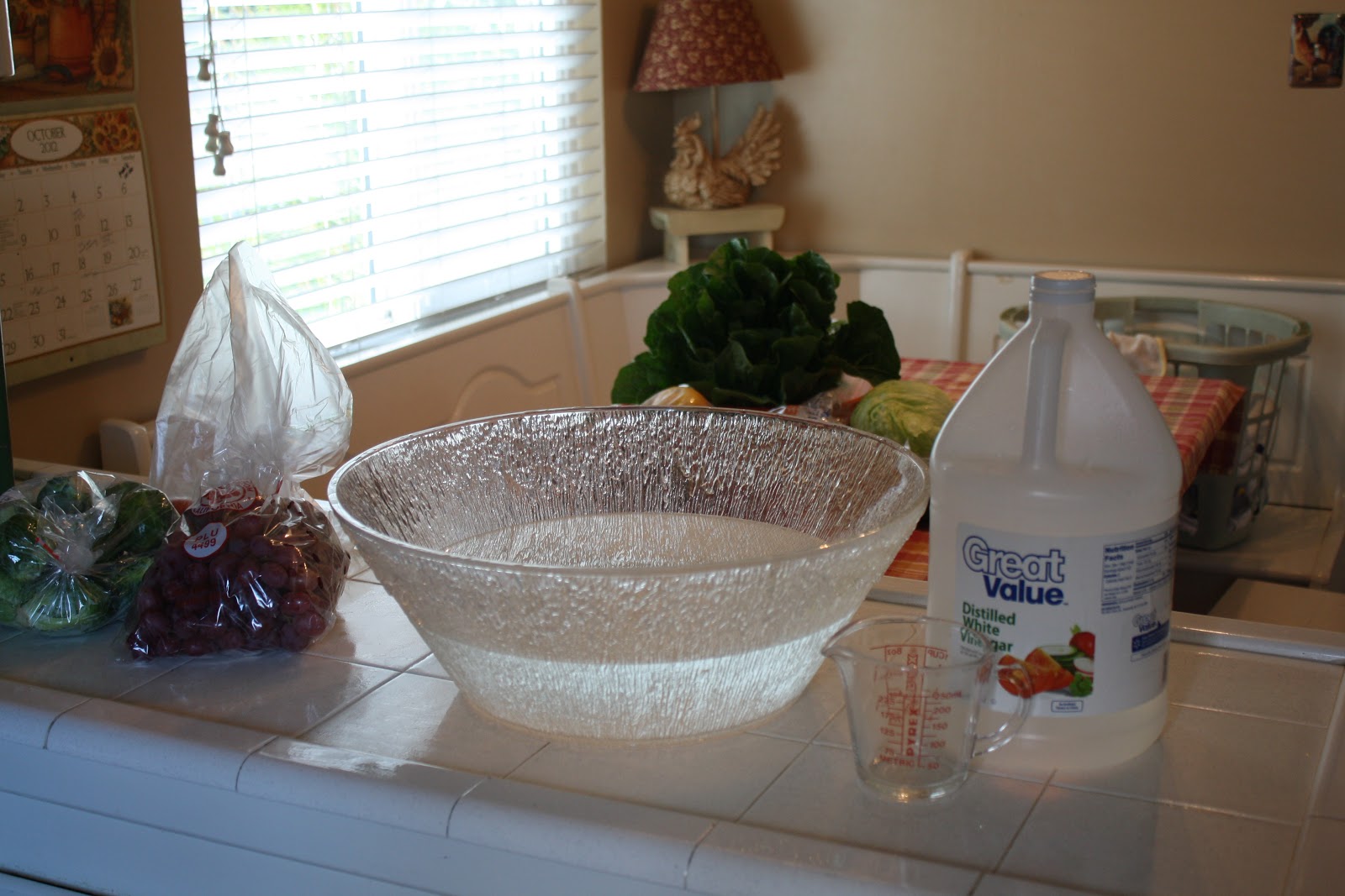 Sunny Simple Life Homemade Fruit and Vegetable Wash